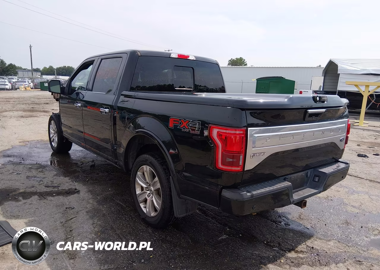2016 Ford F-150 Platinum VIN:1FTEW1EG7GFD14011 - 3