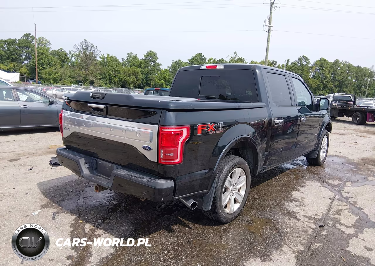 2016 Ford F-150 Platinum VIN:1FTEW1EG7GFD14011 - 4