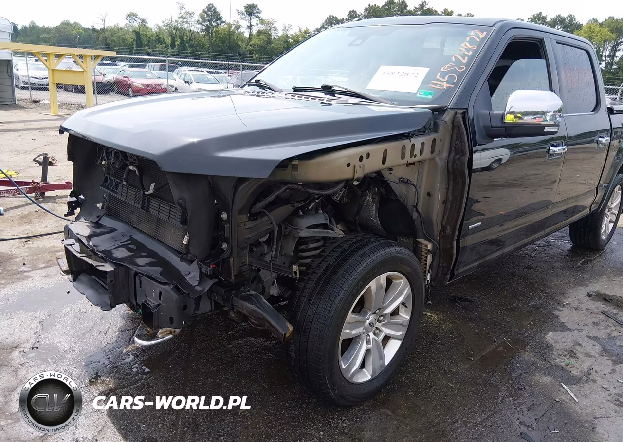 2016 Ford F-150 Platinum VIN:1FTEW1EG7GFD14011 - 6