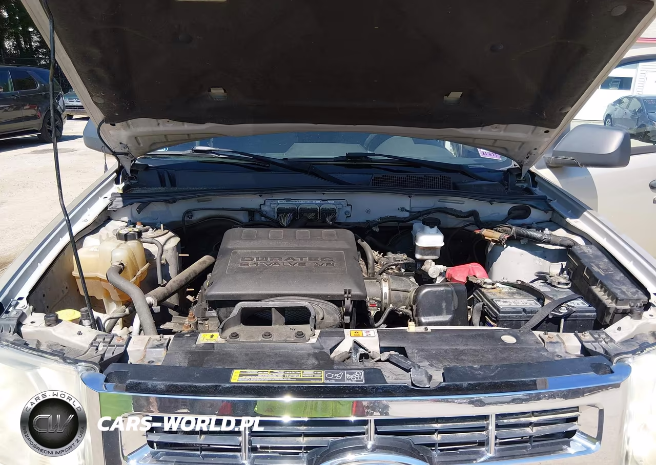 2010 Ford Escape Xlt VIN:1FMCU0DG3AKA04599 - 10