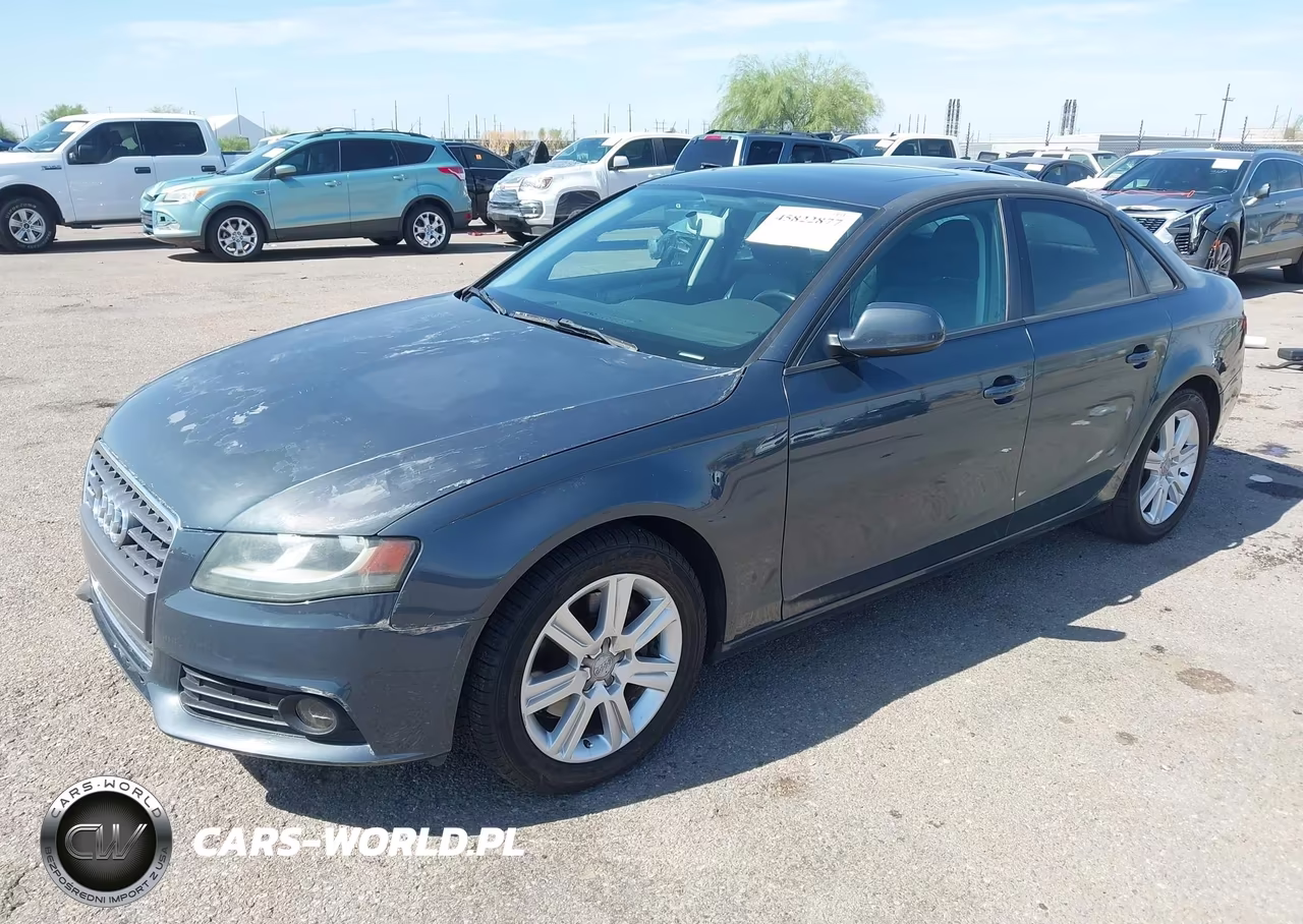 2010 Audi A4 2.0T Premium VIN:WAUAFAFLXAN030988 - 2