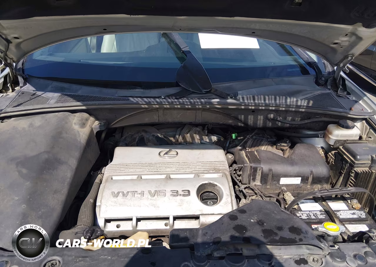 2006 Lexus Rx 330 VIN:JTJGA31U460060478 - 10