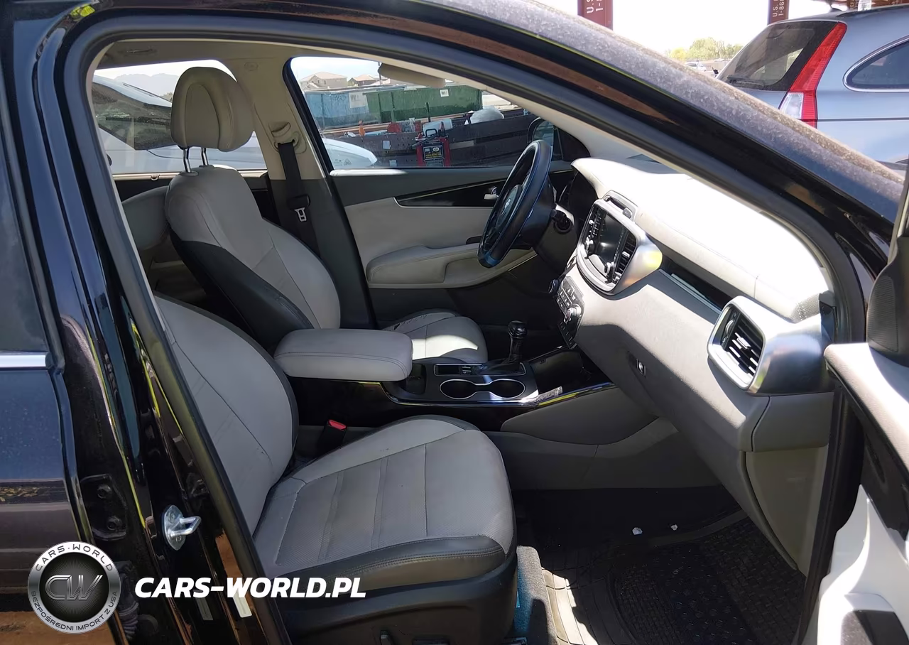 2016 Kia Sorento 3.3L Sx VIN:5XYPK4A56GG088826 - 5