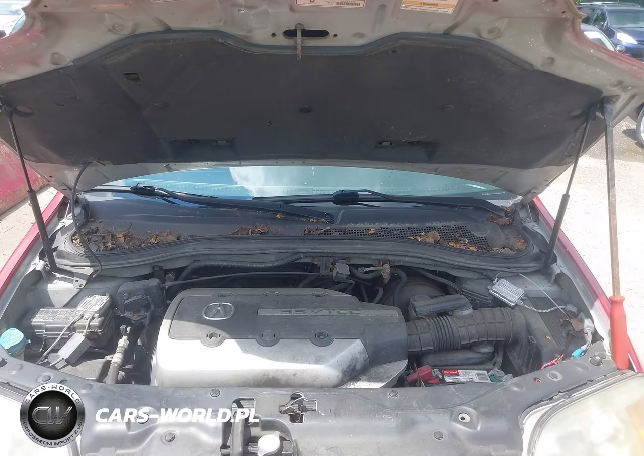2004 Acura Mdx VIN:2HNYD18604H508602 - 10