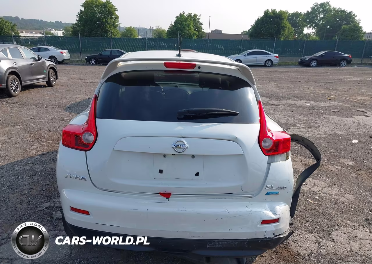 2013 Nissan Juke Sl VIN:JN8AF5MVXDT215626 - 17