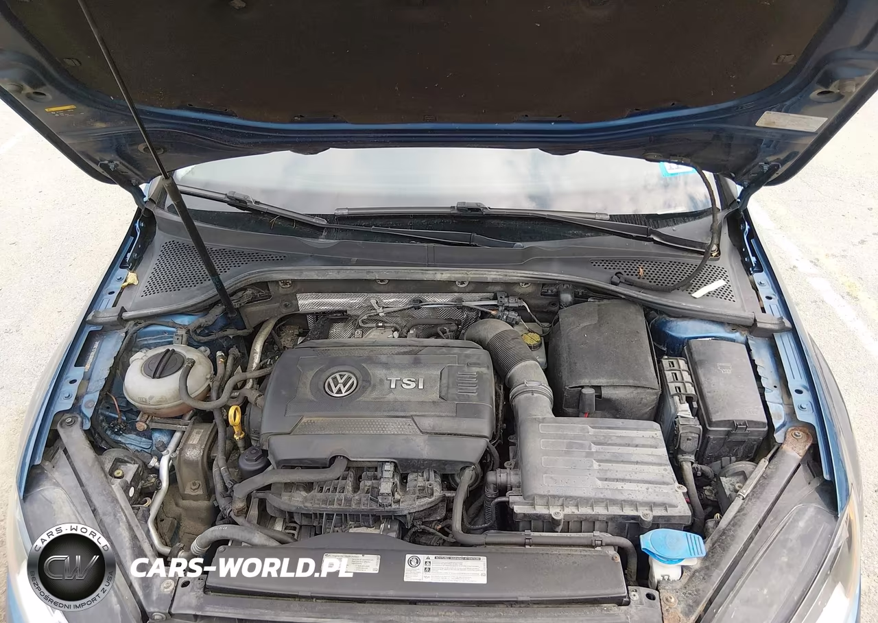 2016 Volkswagen Golf Sportwagen Tsi S 4-Door VIN:3VWC17AU3GM500856 - 10
