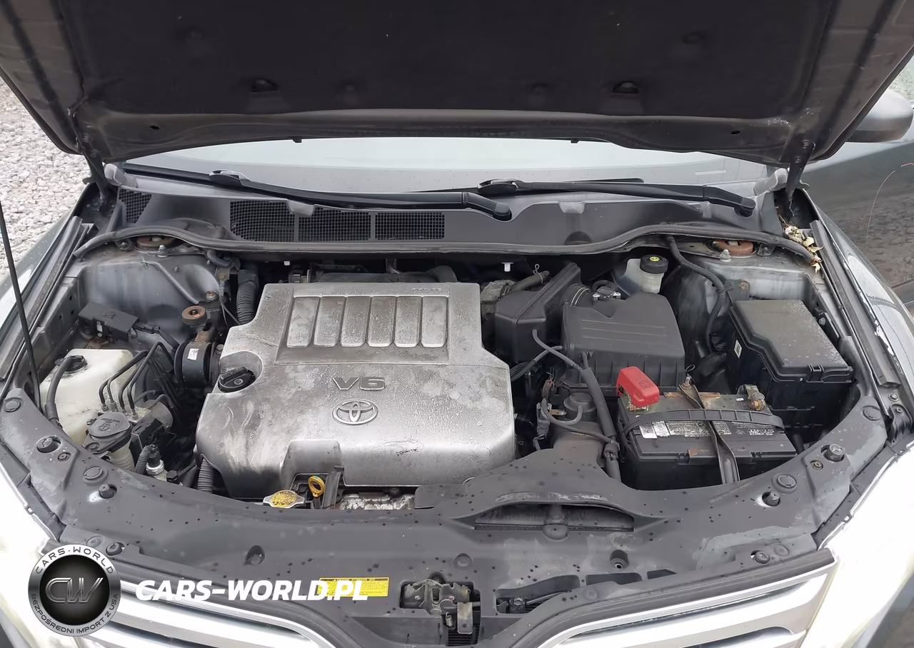 2009 Toyota Venza Base V6 VIN:4T3BK11A49U011267 - 10