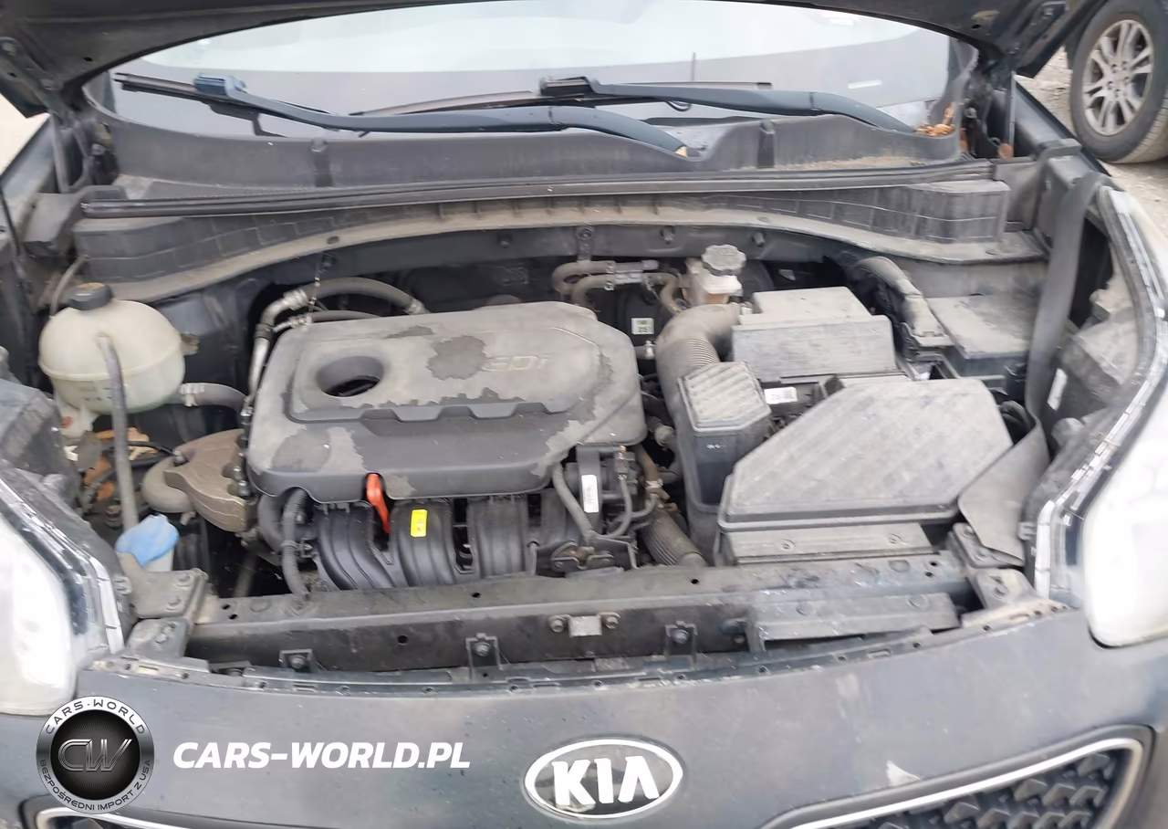 2017 Kia Sportage Lx VIN:KNDPM3AC2H7080806 - 10
