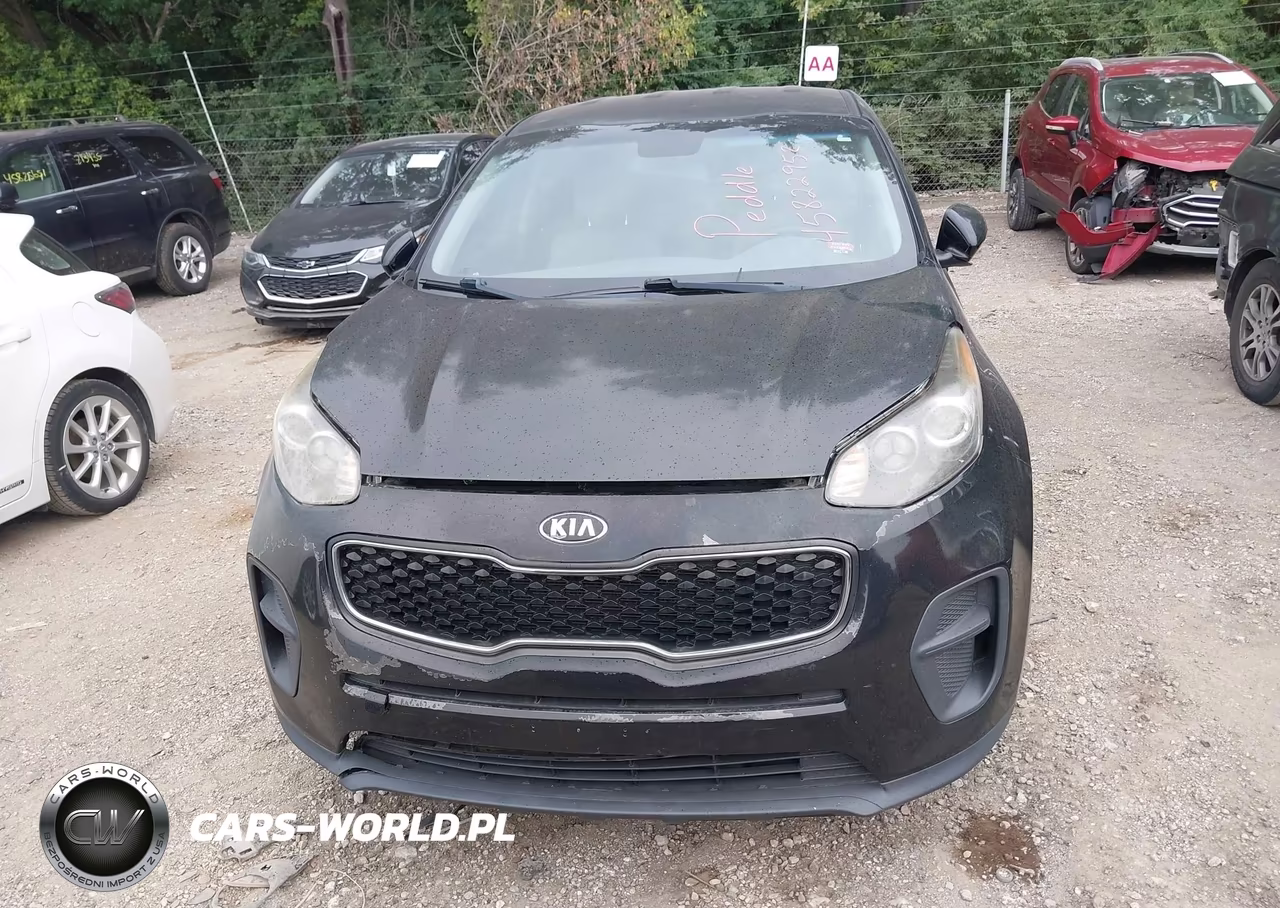 2017 Kia Sportage Lx VIN:KNDPM3AC2H7080806 - 12
