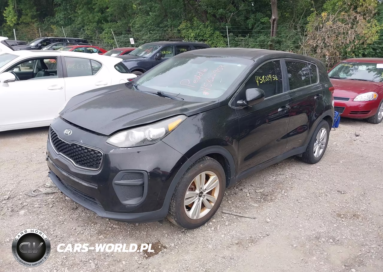 2017 Kia Sportage Lx VIN:KNDPM3AC2H7080806 - 2