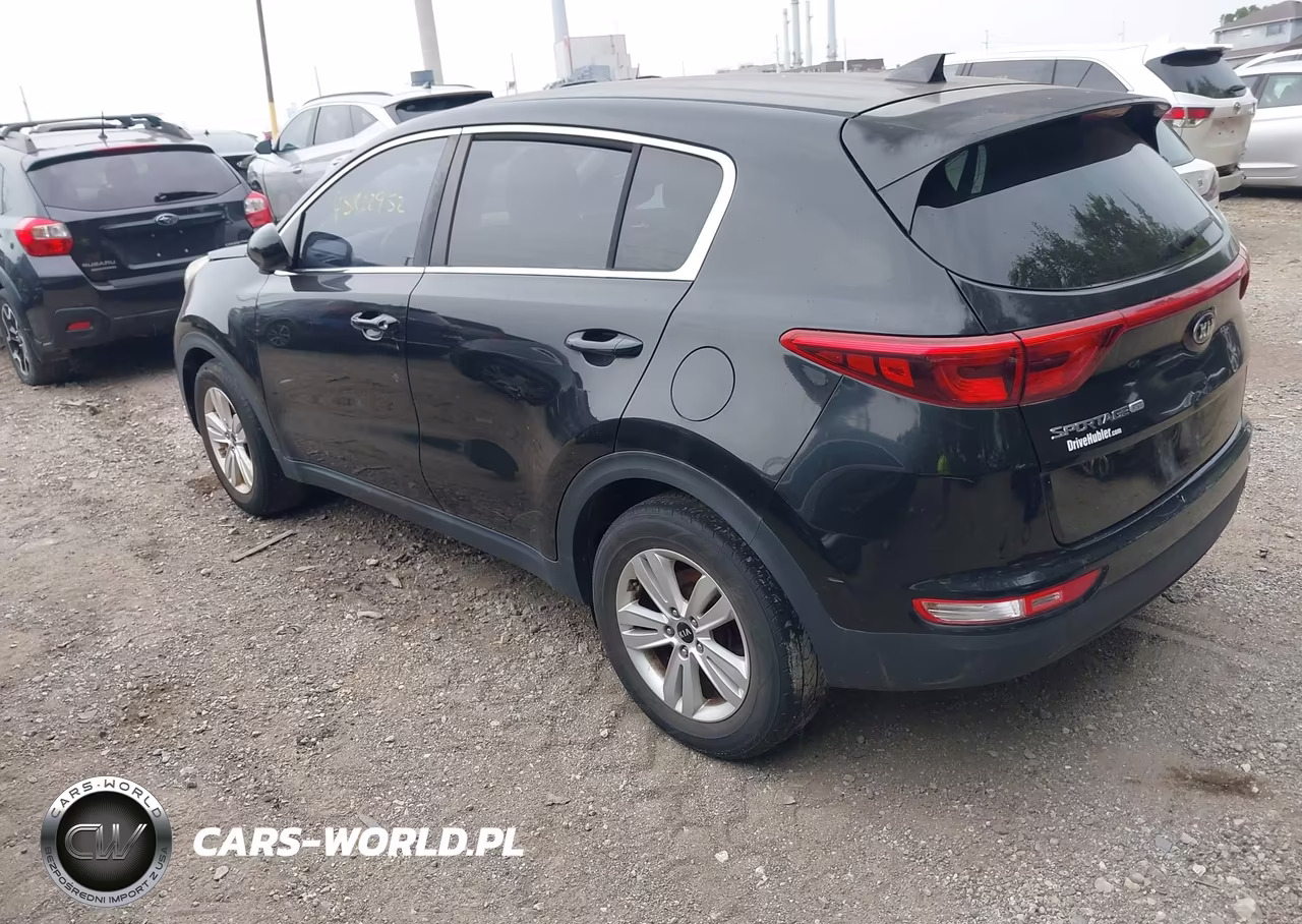 2017 Kia Sportage Lx VIN:KNDPM3AC2H7080806 - 3