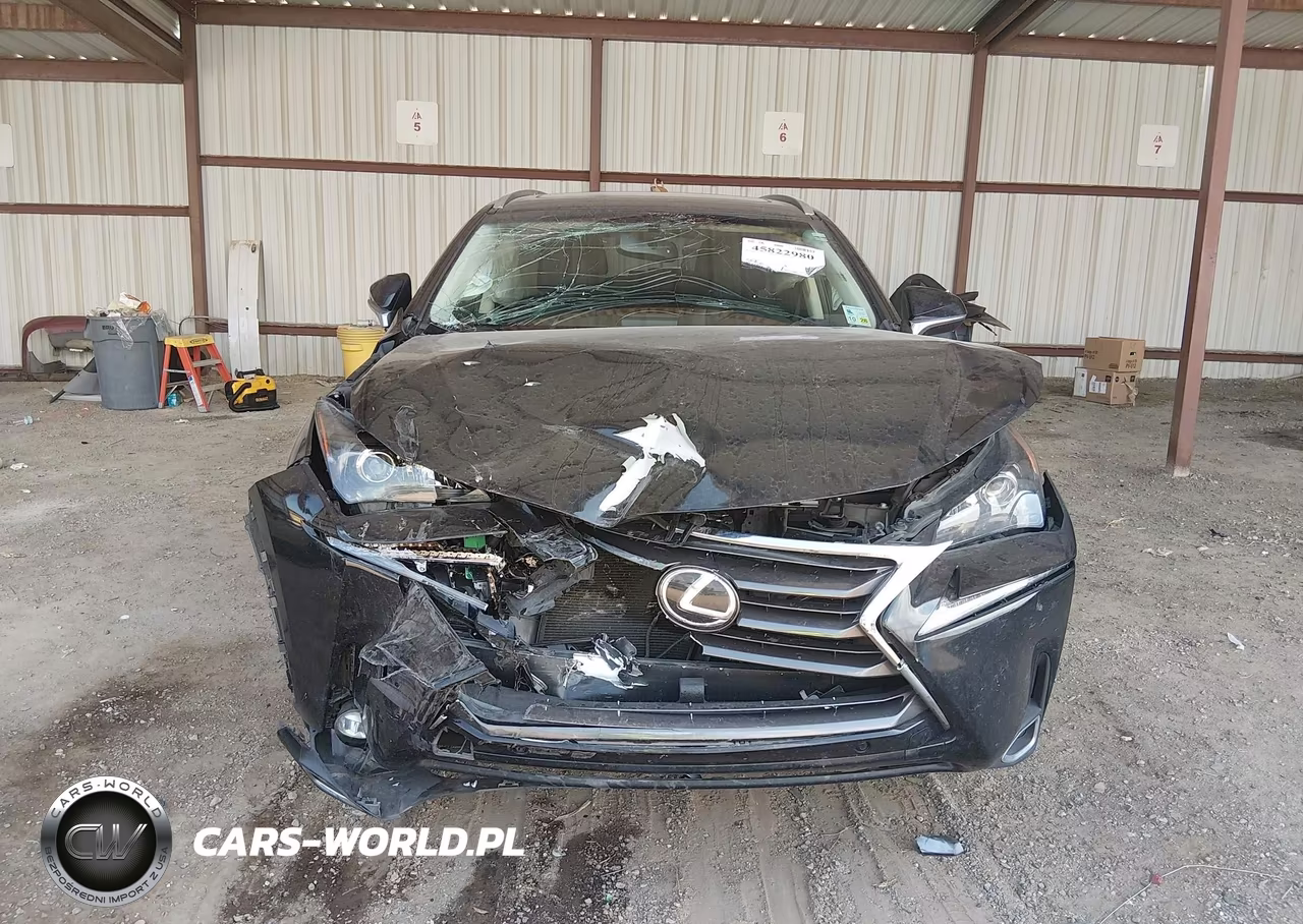 2017 Lexus Nx 200T VIN:JTJYARBZ3H2069682 - 12