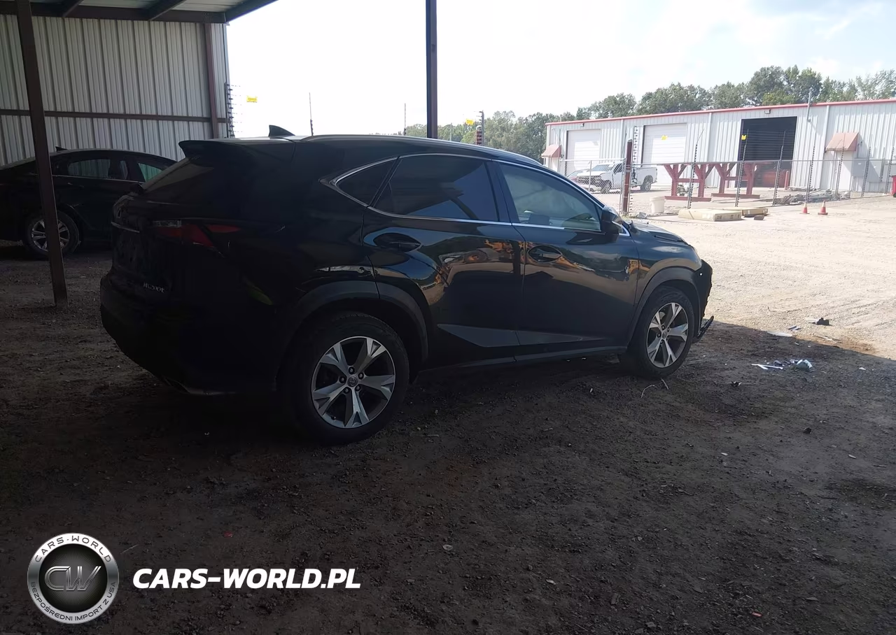 2017 Lexus Nx 200T VIN:JTJYARBZ3H2069682 - 4