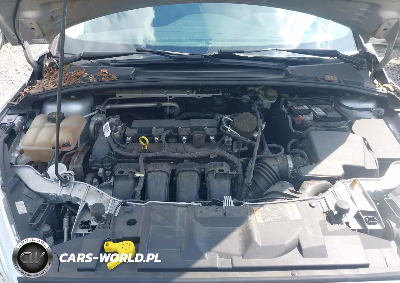 2016 Ford Focus Se VIN:1FADP3F2XGL310856 - 10