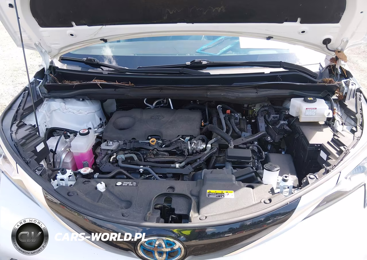 2022 Toyota Sienna Platinum VIN:5TDERKEC3NS093577 - 10