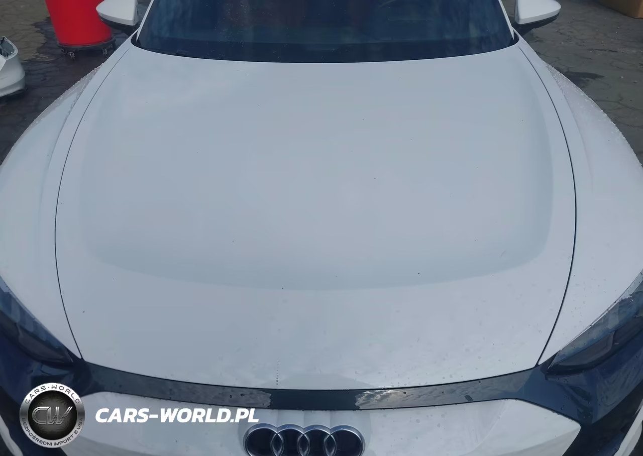 2024 Audi E-Tron Gt Premium Plus Quattro VIN:WAUFJBFW4R7002527 - 10