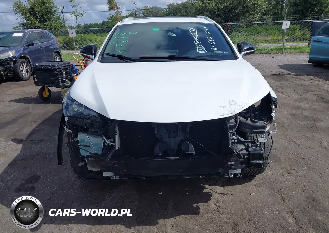 2021 Lexus Nx 300 F Sport VIN:JTJSARBZ3M2202277 - 12