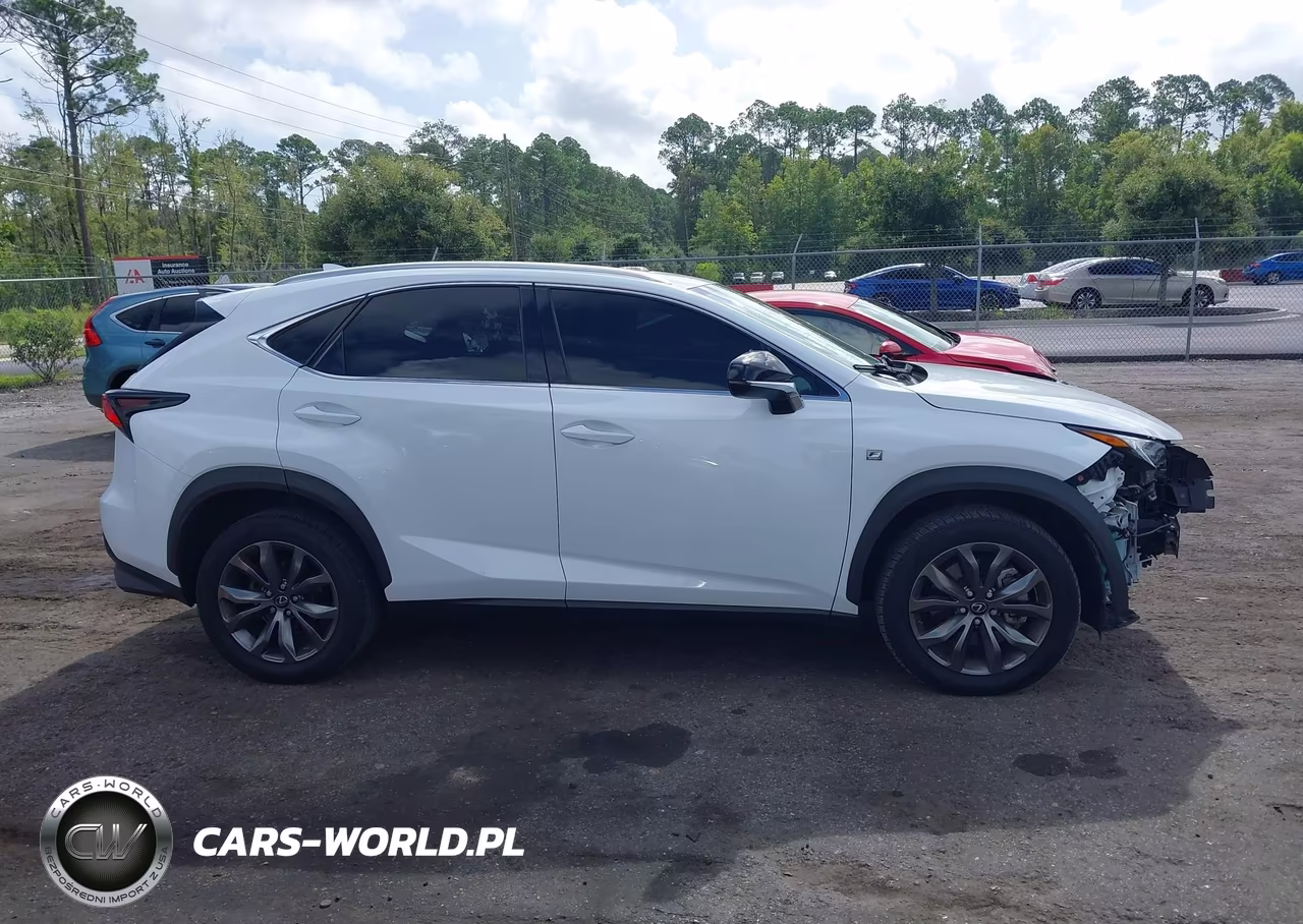 2021 Lexus Nx 300 F Sport VIN:JTJSARBZ3M2202277 - 13