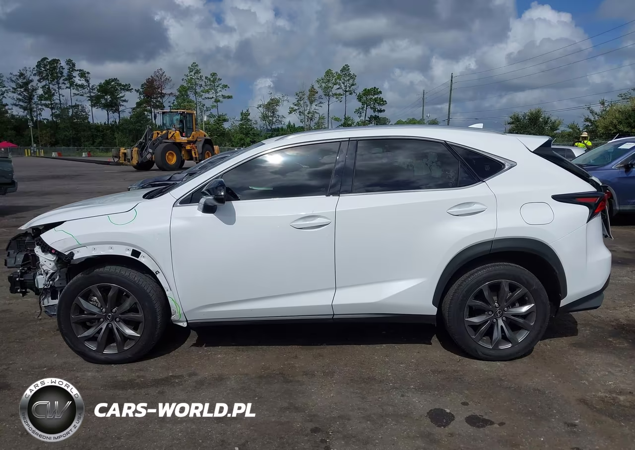 2021 Lexus Nx 300 F Sport VIN:JTJSARBZ3M2202277 - 14