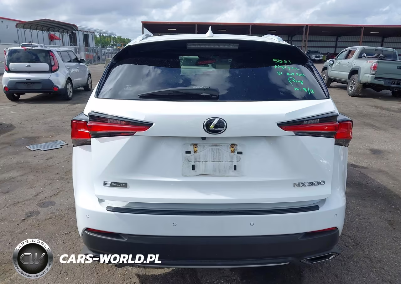 2021 Lexus Nx 300 F Sport VIN:JTJSARBZ3M2202277 - 16