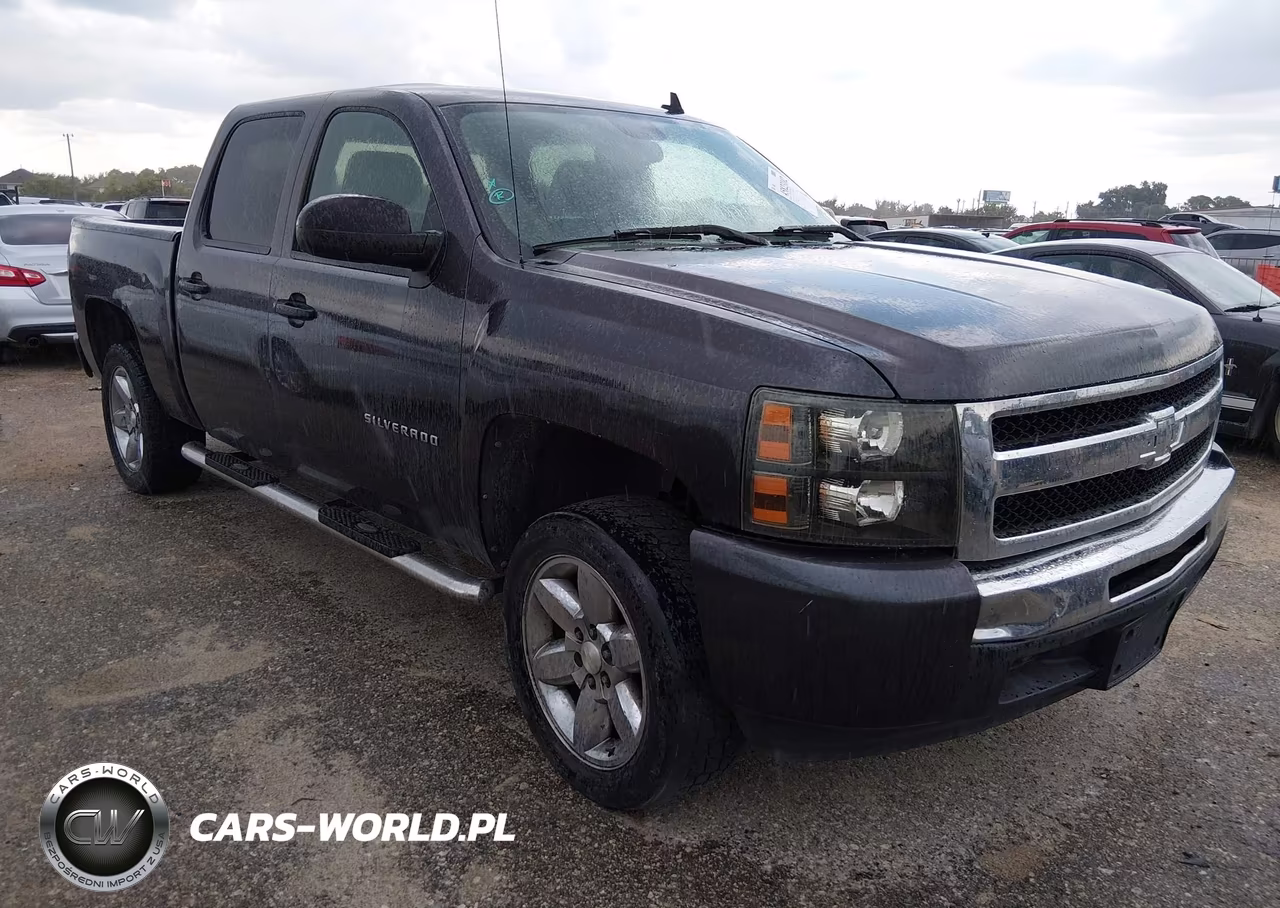 2010 Chevrolet Silverado 1500 Ls