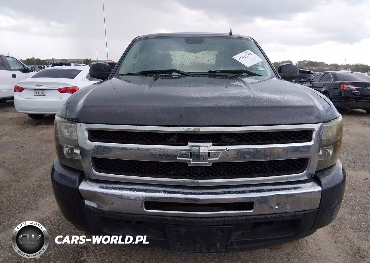 2010 Chevrolet Silverado 1500 Ls VIN:3GCRCREA6AG222981 - 12