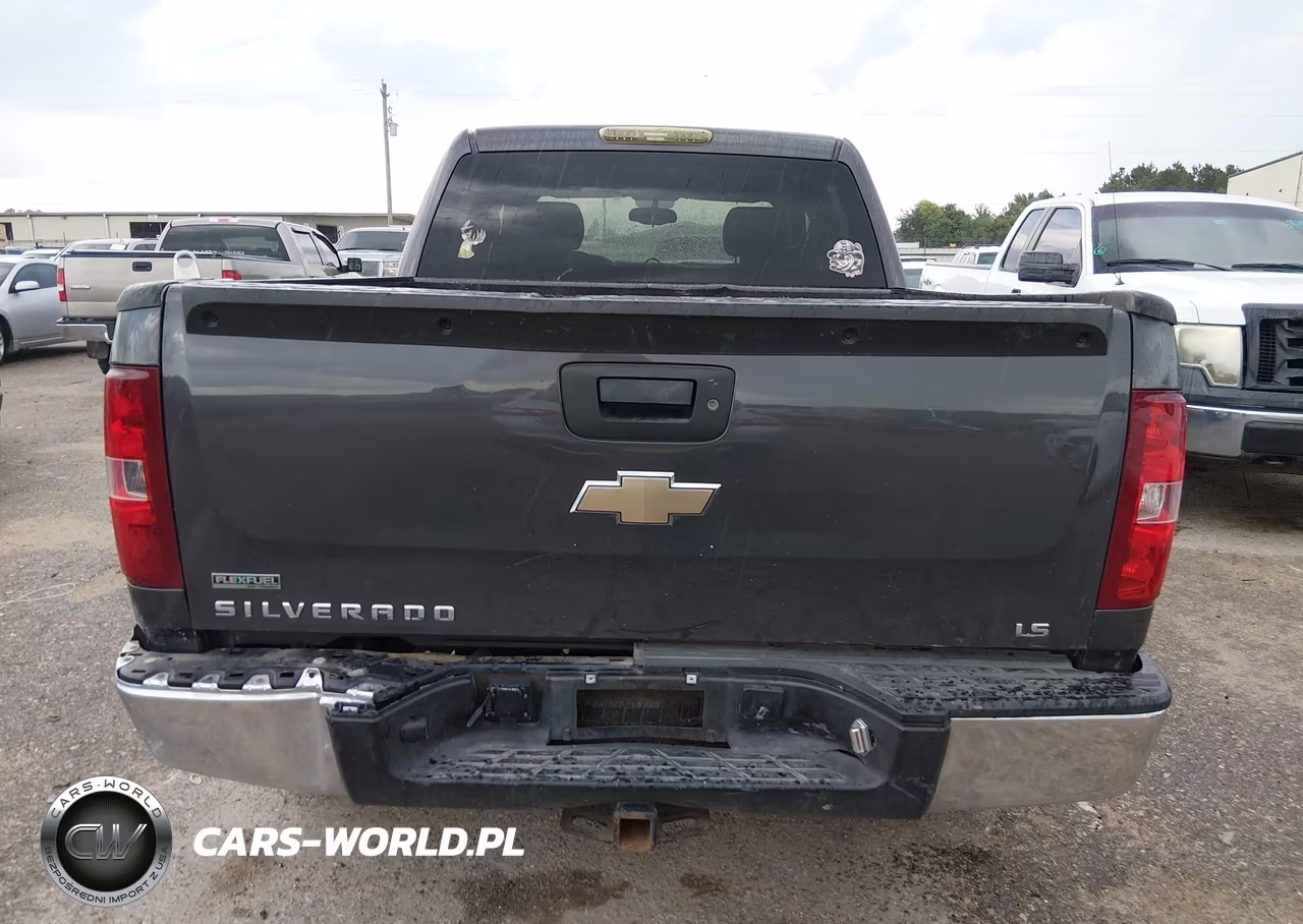 2010 Chevrolet Silverado 1500 Ls VIN:3GCRCREA6AG222981 - 16