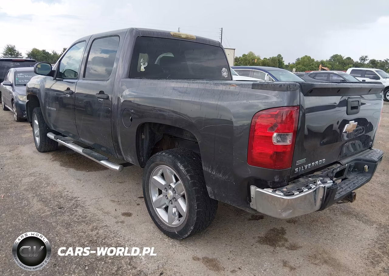 2010 Chevrolet Silverado 1500 Ls VIN:3GCRCREA6AG222981 - 3