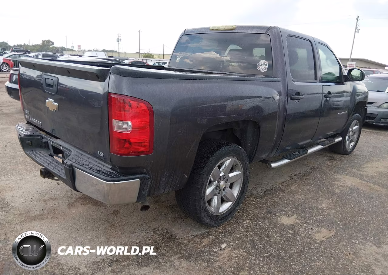 2010 Chevrolet Silverado 1500 Ls VIN:3GCRCREA6AG222981 - 4