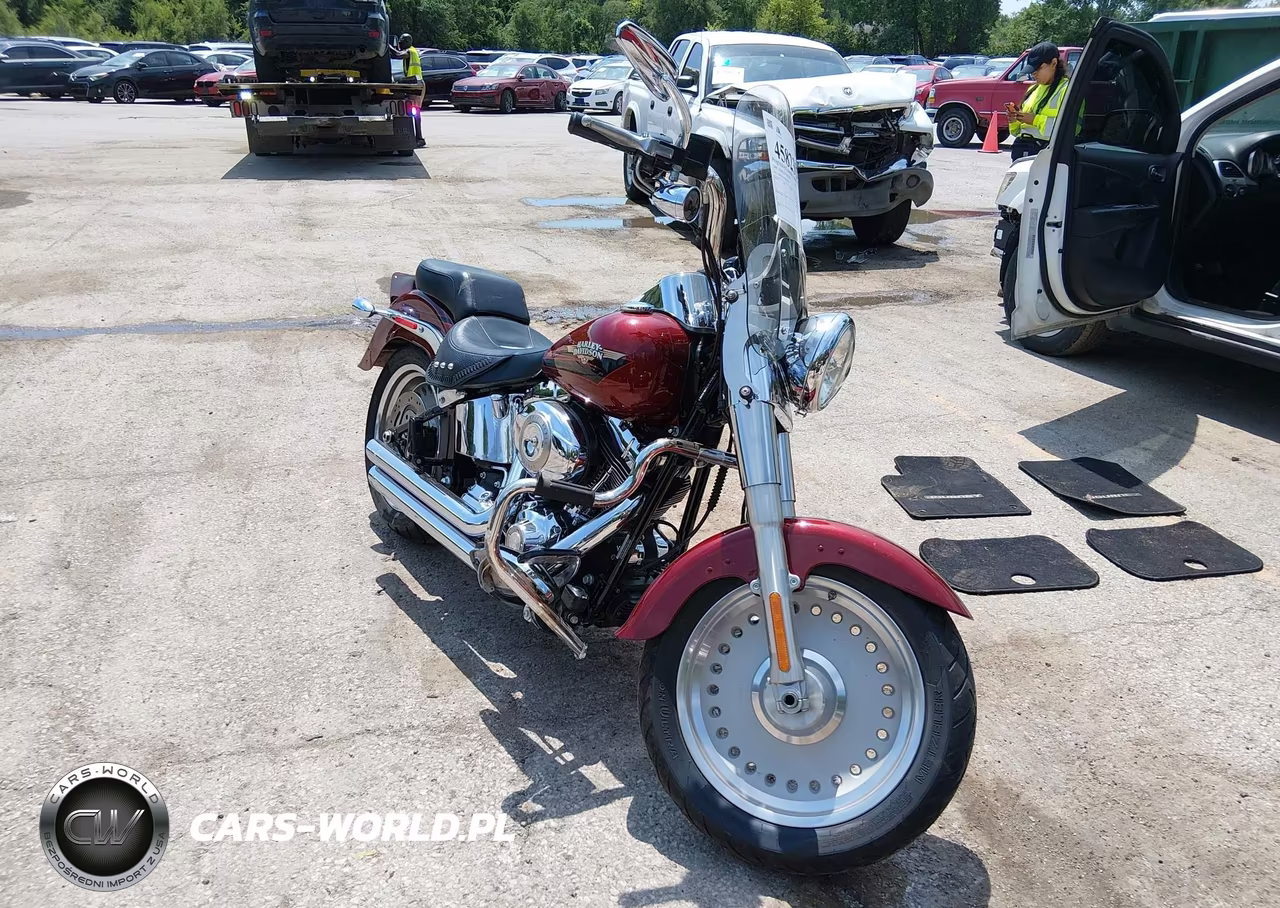 2009 Harley-Davidson Flstf