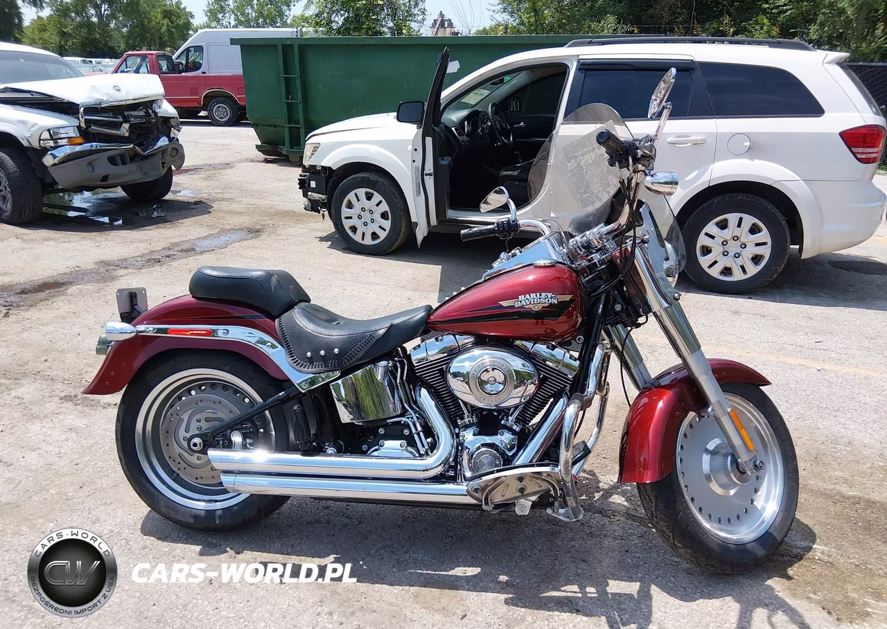 2009 Harley-Davidson Flstf VIN:1HD1BX51X9Y054556 - 12