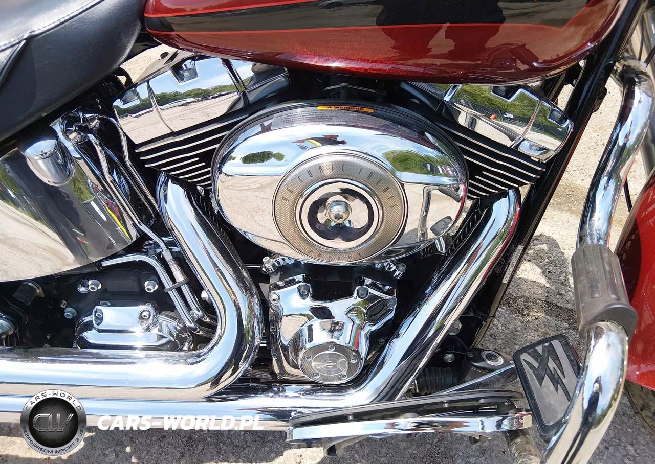 2009 Harley-Davidson Flstf VIN:1HD1BX51X9Y054556 - 8