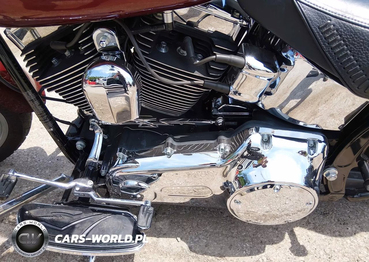 2009 Harley-Davidson Flstf VIN:1HD1BX51X9Y054556 - 9