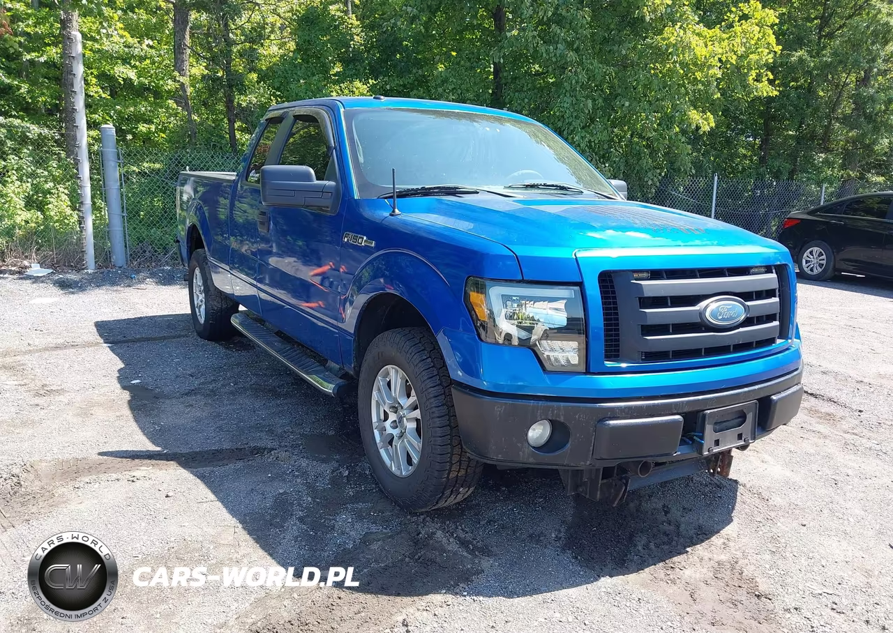 2009 Ford F-150 Stx-Xl-Xlt