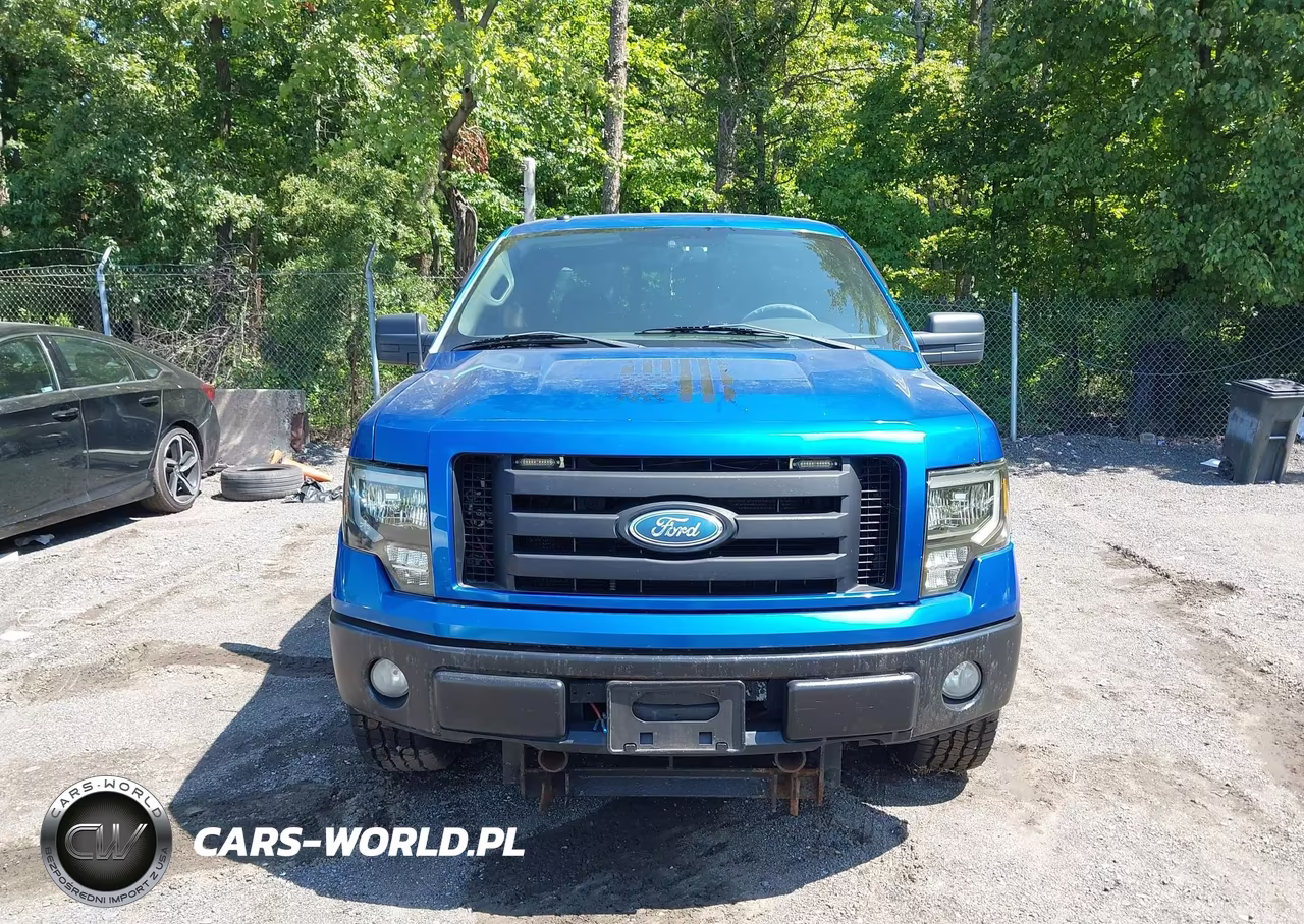 2009 Ford F-150 Stx-Xl-Xlt VIN:1FTRX14889KB49945 - 12