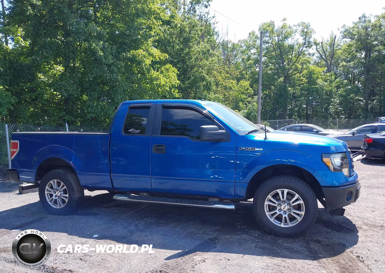 2009 Ford F-150 Stx-Xl-Xlt VIN:1FTRX14889KB49945 - 13