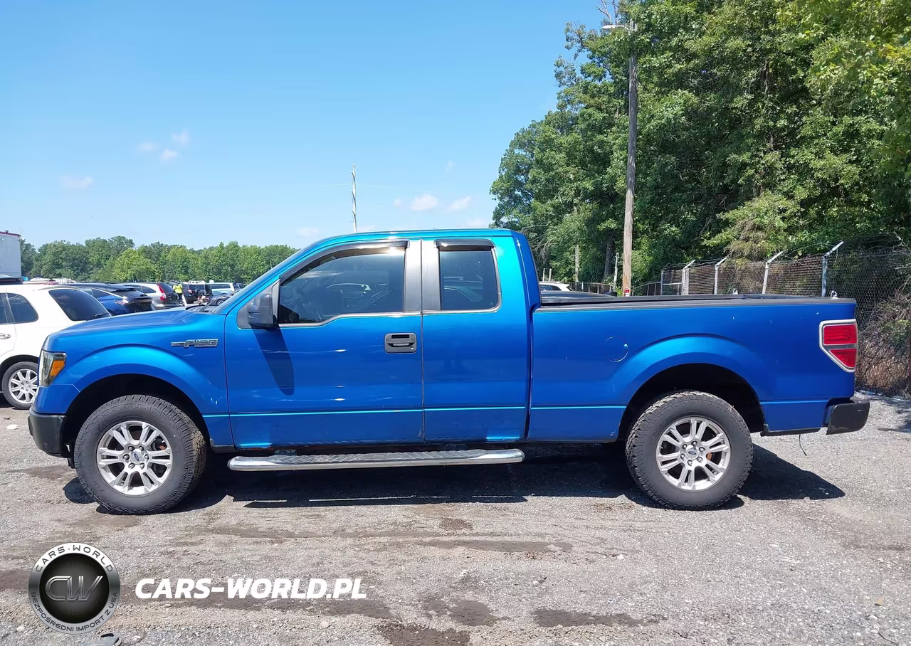 2009 Ford F-150 Stx-Xl-Xlt VIN:1FTRX14889KB49945 - 14