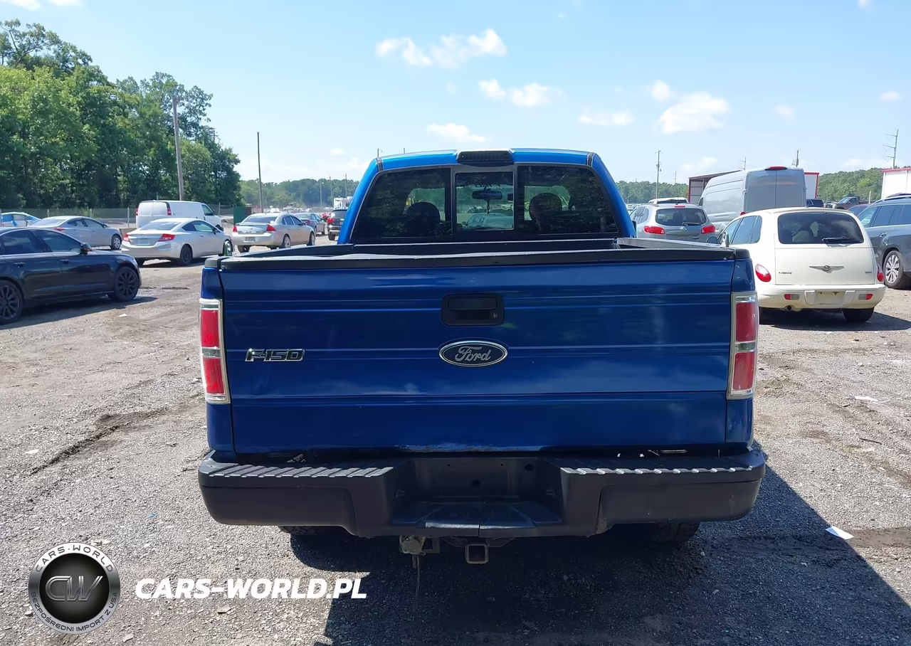 2009 Ford F-150 Stx-Xl-Xlt VIN:1FTRX14889KB49945 - 16
