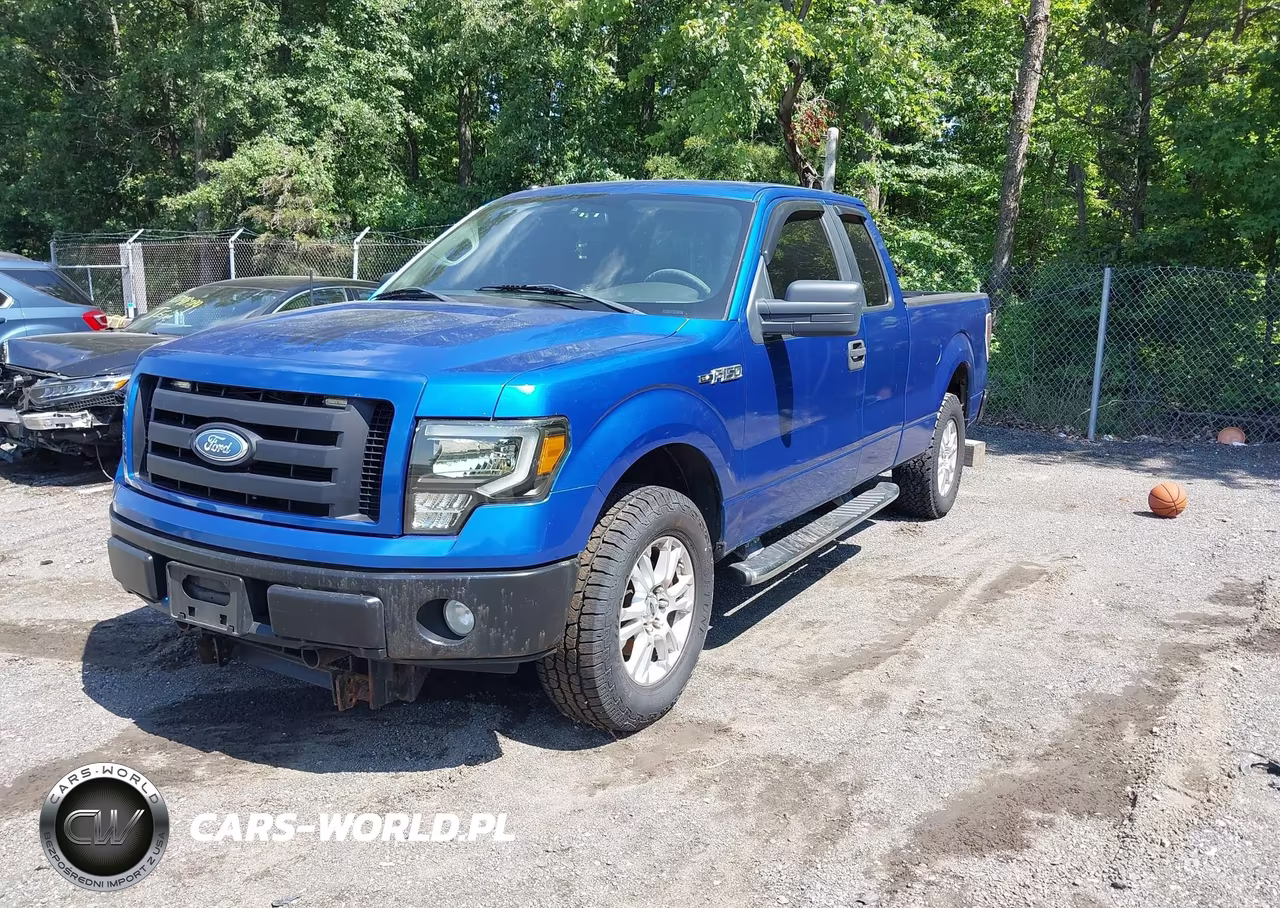 2009 Ford F-150 Stx-Xl-Xlt VIN:1FTRX14889KB49945 - 2