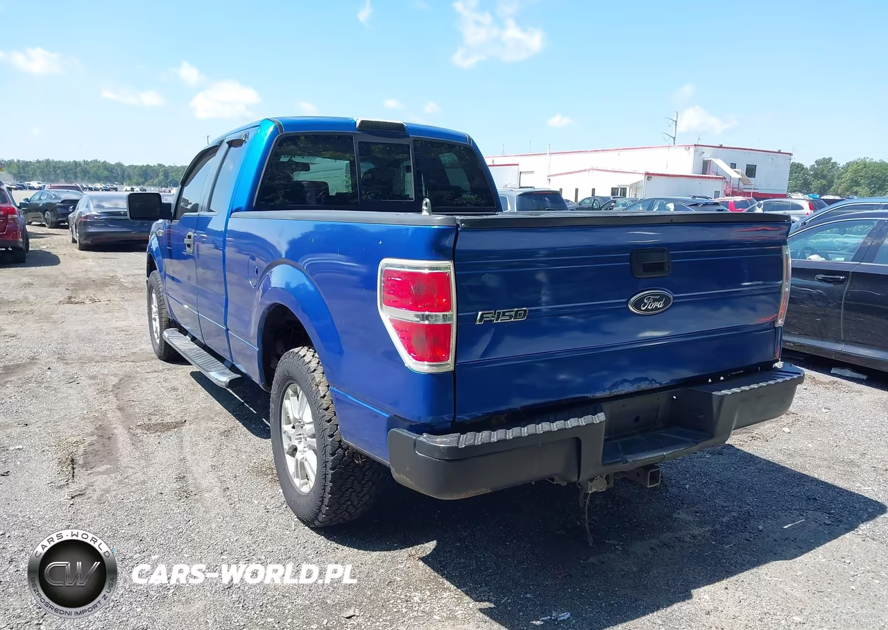 2009 Ford F-150 Stx-Xl-Xlt VIN:1FTRX14889KB49945 - 3