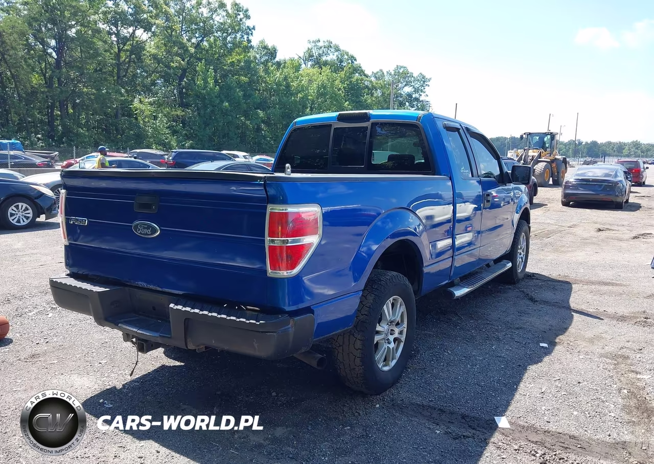 2009 Ford F-150 Stx-Xl-Xlt VIN:1FTRX14889KB49945 - 4