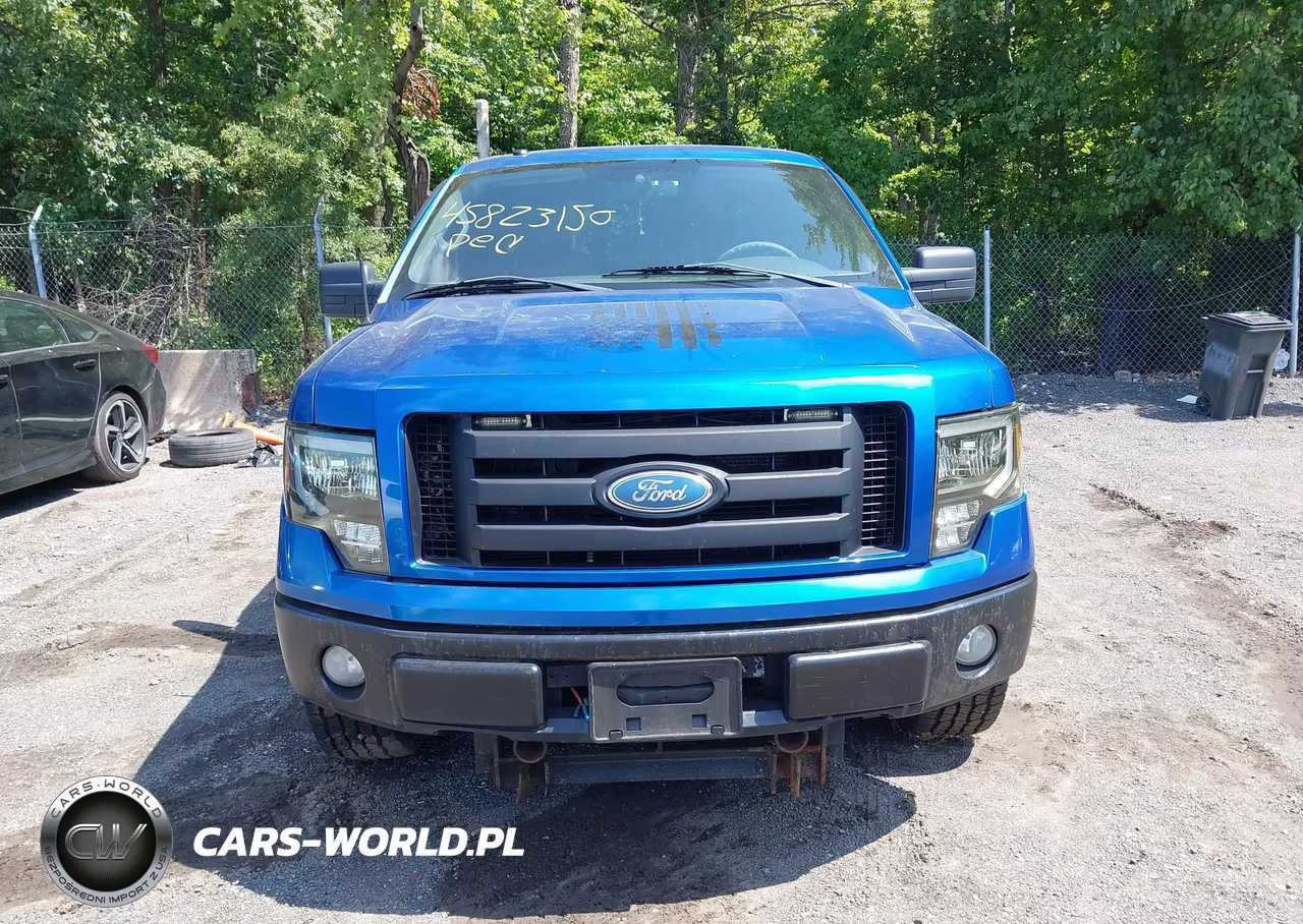 2009 Ford F-150 Stx-Xl-Xlt VIN:1FTRX14889KB49945 - 6