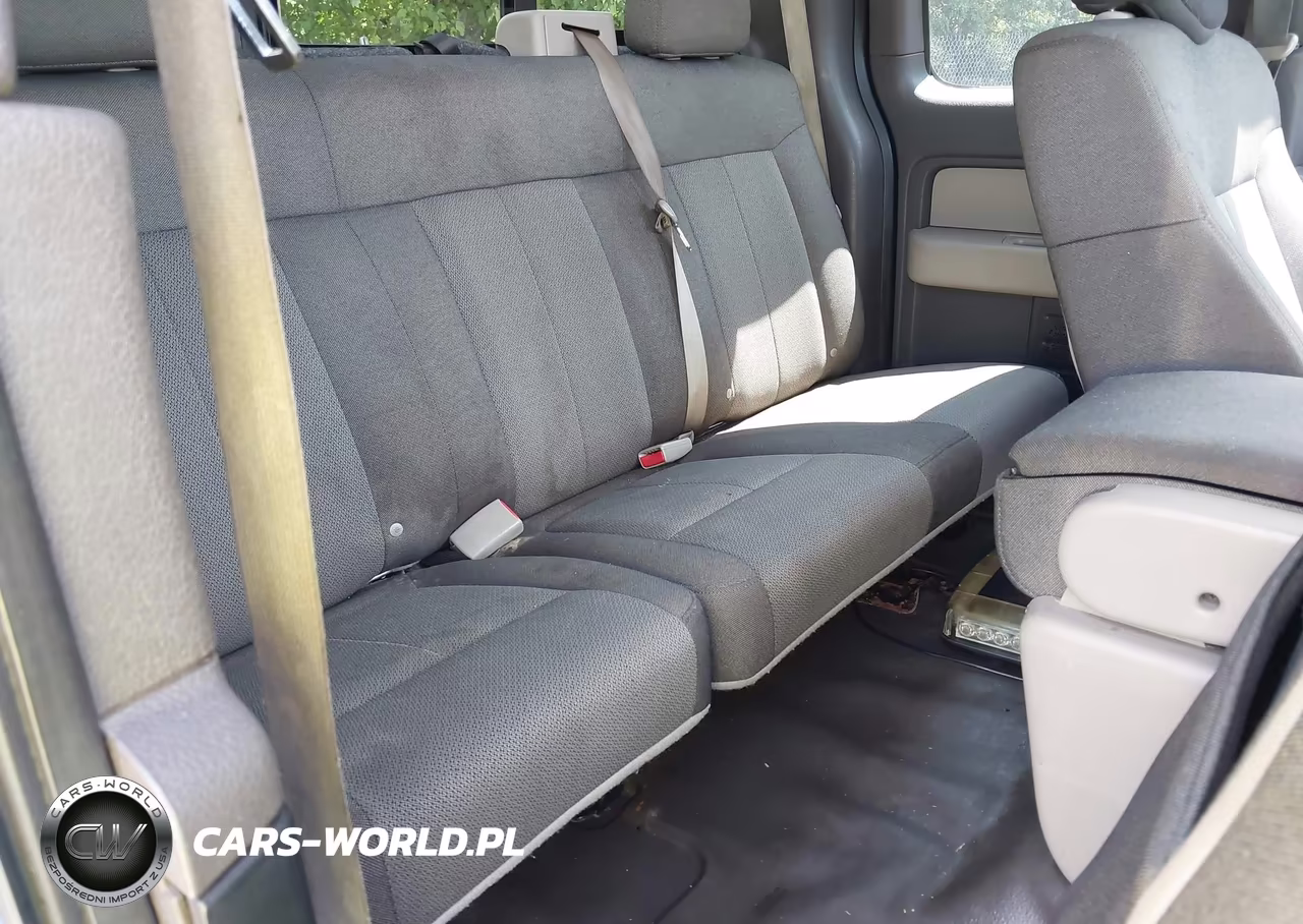 2009 Ford F-150 Stx-Xl-Xlt VIN:1FTRX14889KB49945 - 8