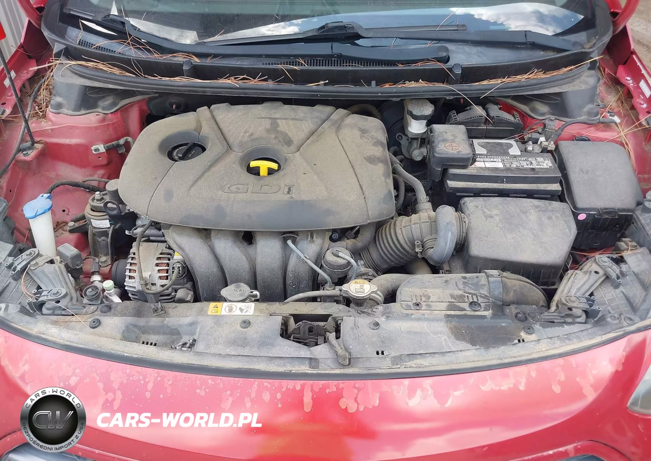 2016 Hyundai Elantra Gt VIN:KMHD35LH8GU252309 - 10