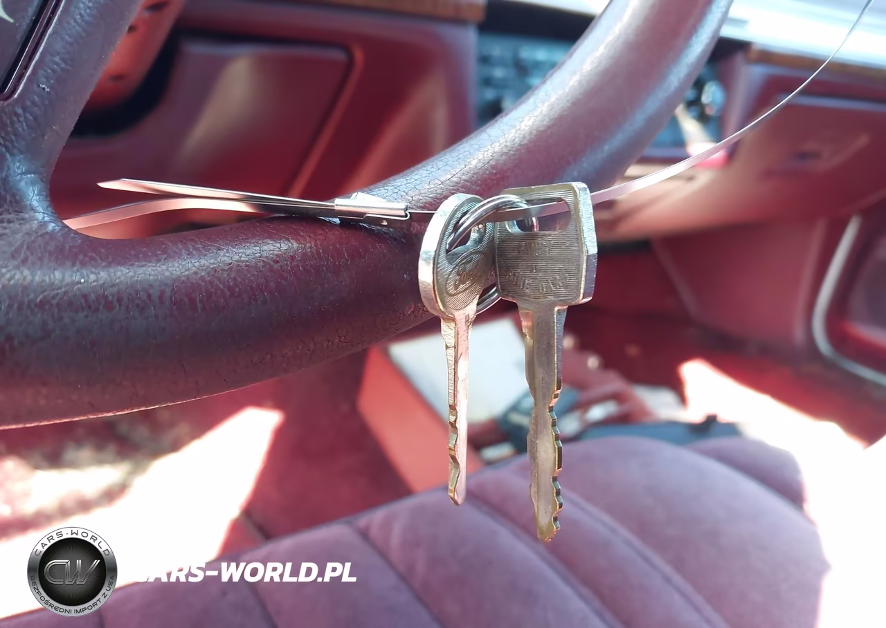 1990 Ford Crown Victoria VIN:2FACP73F4LX170035 - 11