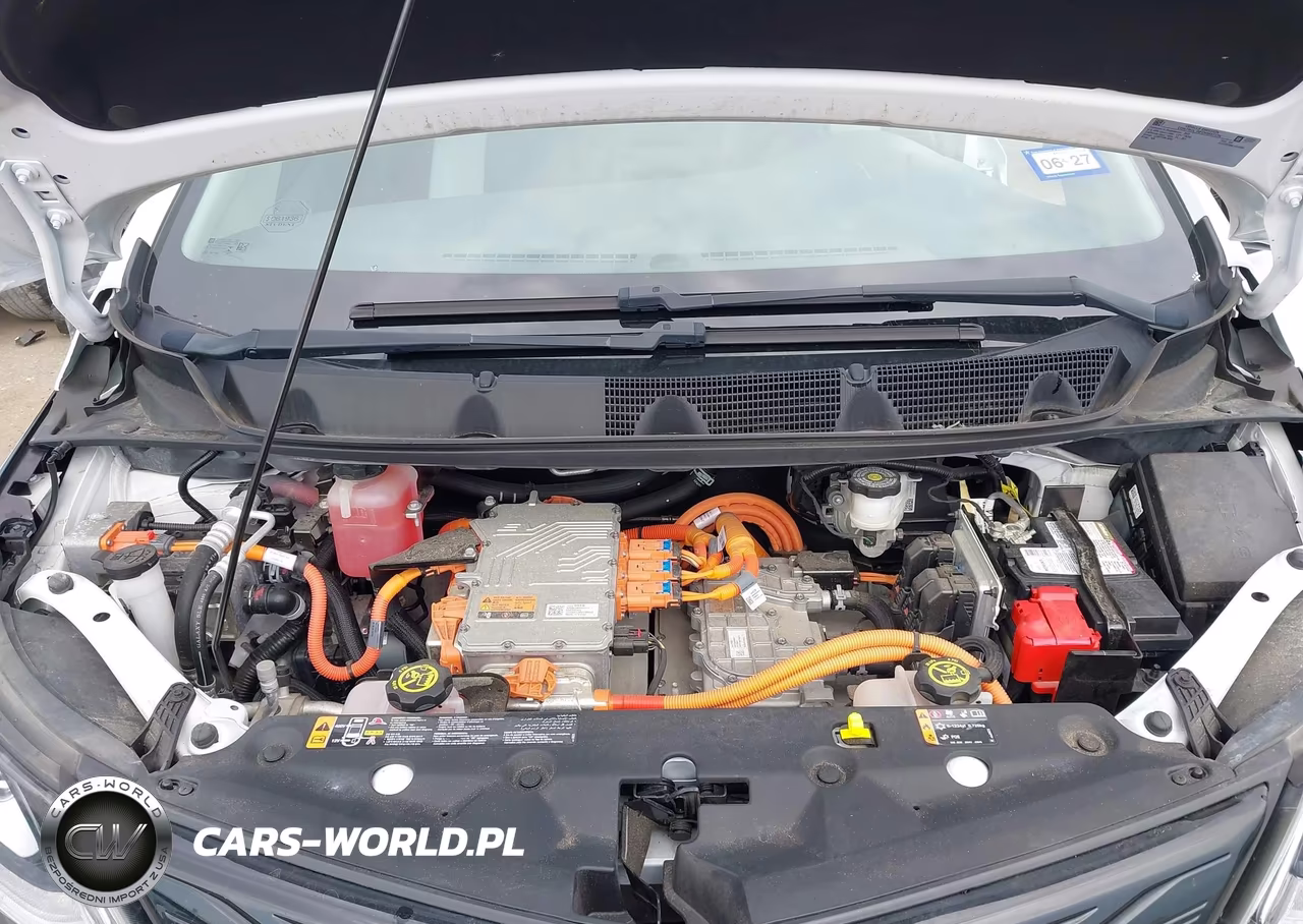 2020 Chevrolet Bolt Ev Fwd Premier VIN:1G1FZ6S06L4150698 - 10