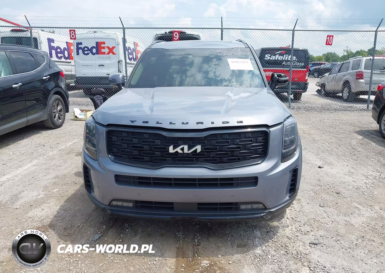 2022 Kia Telluride Sx VIN:5XYP5DHC3NG295988 - 13