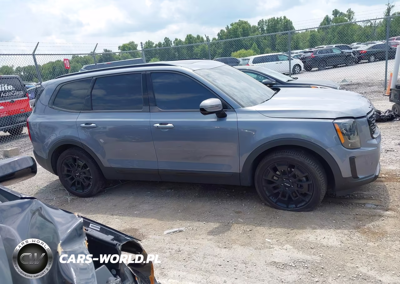 2022 Kia Telluride Sx VIN:5XYP5DHC3NG295988 - 14