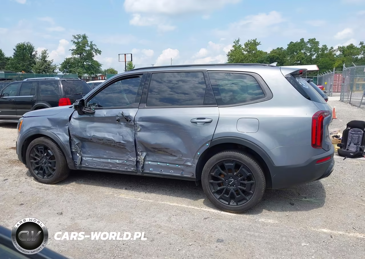 2022 Kia Telluride Sx VIN:5XYP5DHC3NG295988 - 15