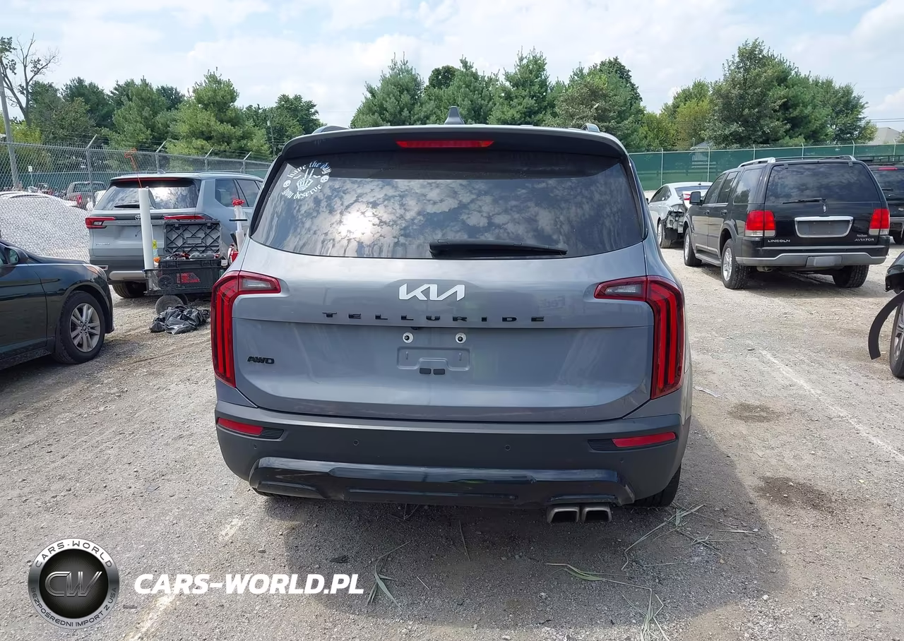 2022 Kia Telluride Sx VIN:5XYP5DHC3NG295988 - 17